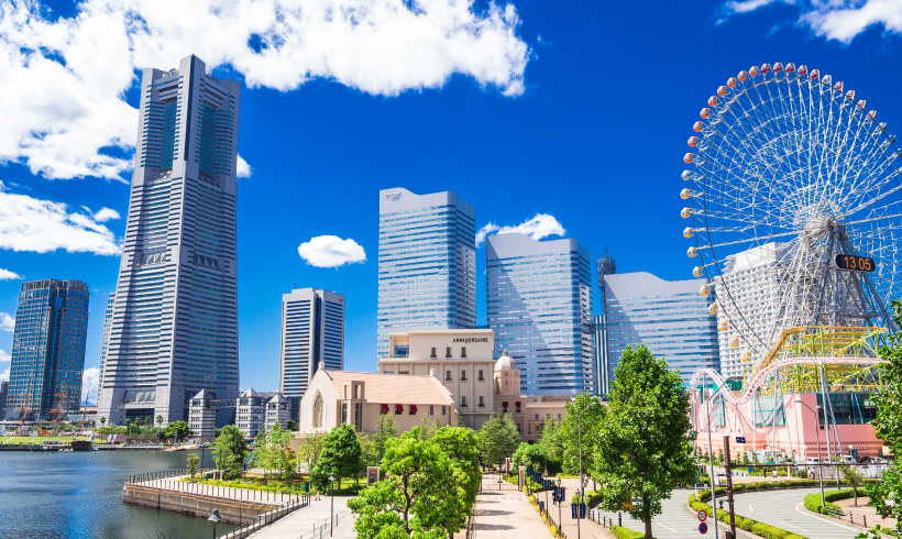 先輩社員の声